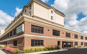 The Mosey Buffalo Williamsville Tapestry Collection Hilton